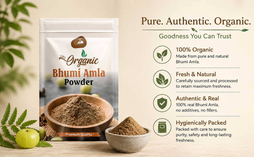 Bhumi Amla Powder 100G | Organic Bhumi Amla Churna for Liver Support, Detox & Digestion | Herbal Supplement | - (Pack Of 01)
