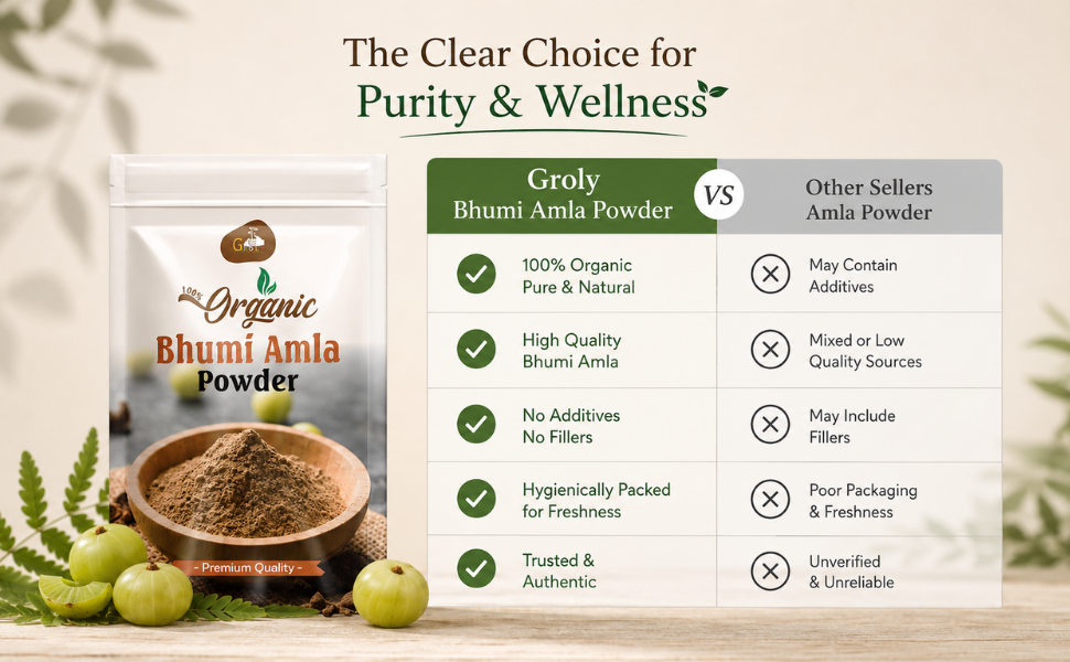 Bhumi Amla Powder 100G | Organic Bhumi Amla Churna for Liver Support, Detox & Digestion | Herbal Supplement | - (Pack Of 01)