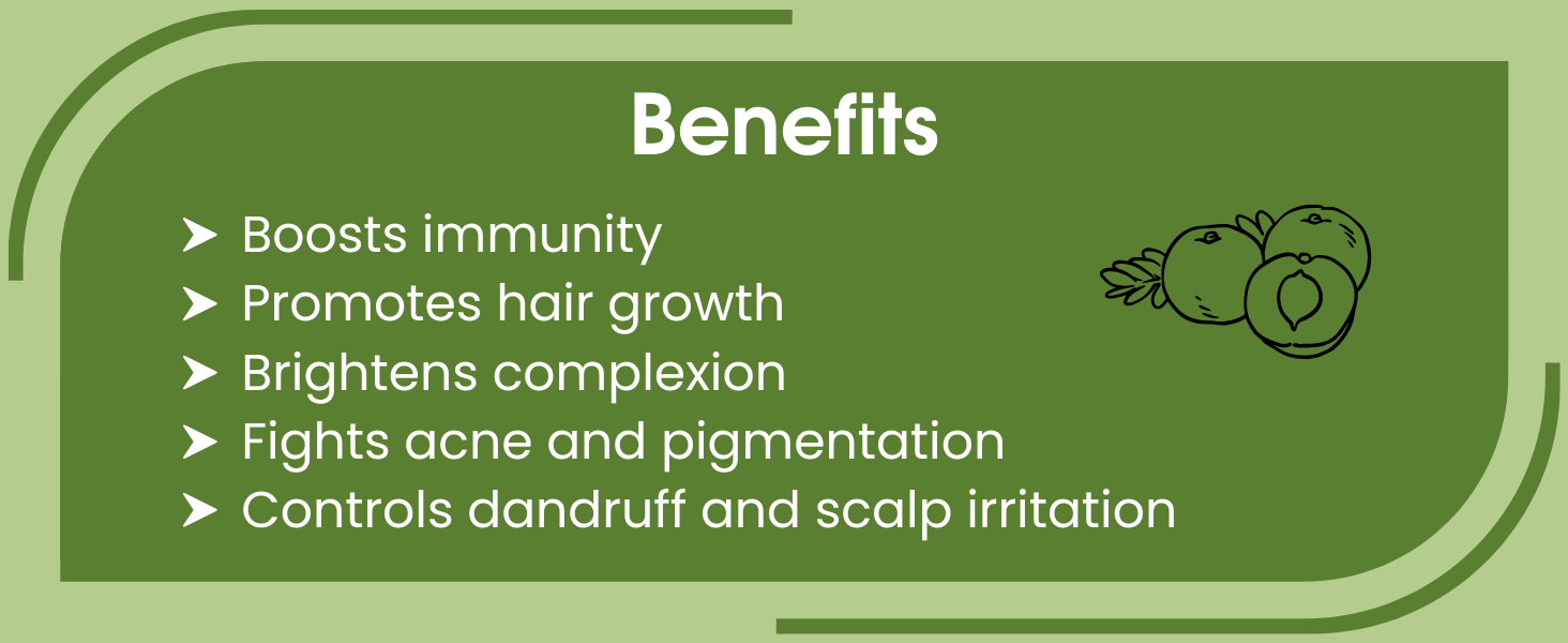 Bhumi Organic Pure Amla Powder For Hair Growth 500 grams