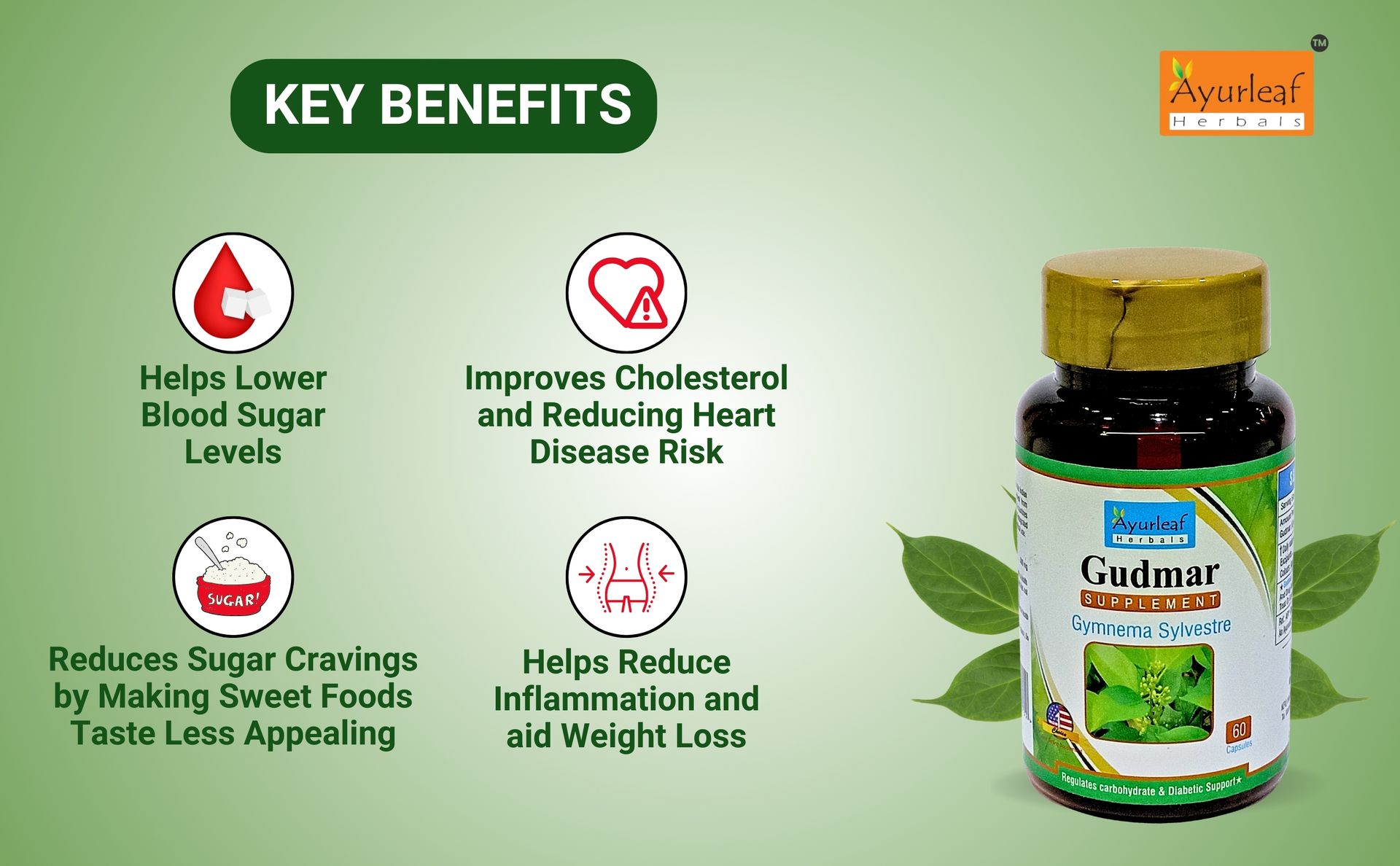 Ayurleaf Herbals Gudmar Capsules | For Endocrine Health & Blood Sugar Levels | 100% Natural, Ayurveda Herb, Dietary, Nutrition Supplements (Pack of 2, 120 Capsules)