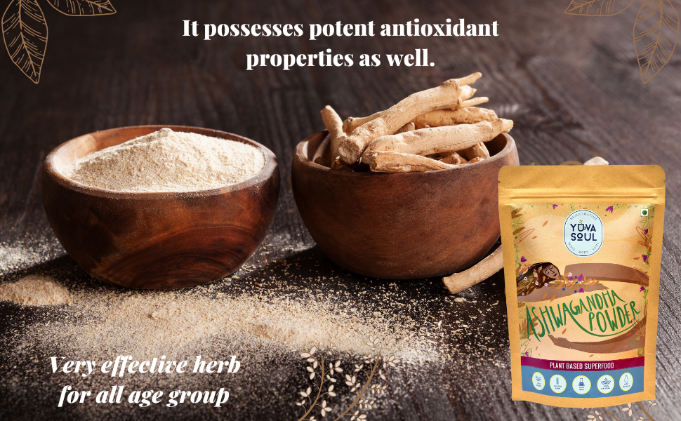 Natural Ashwagandha Powder for Boosting Immunity, Ashwagandha Herbal Powder, Ashwagandham (Withania Somnifera) - 60 Grams