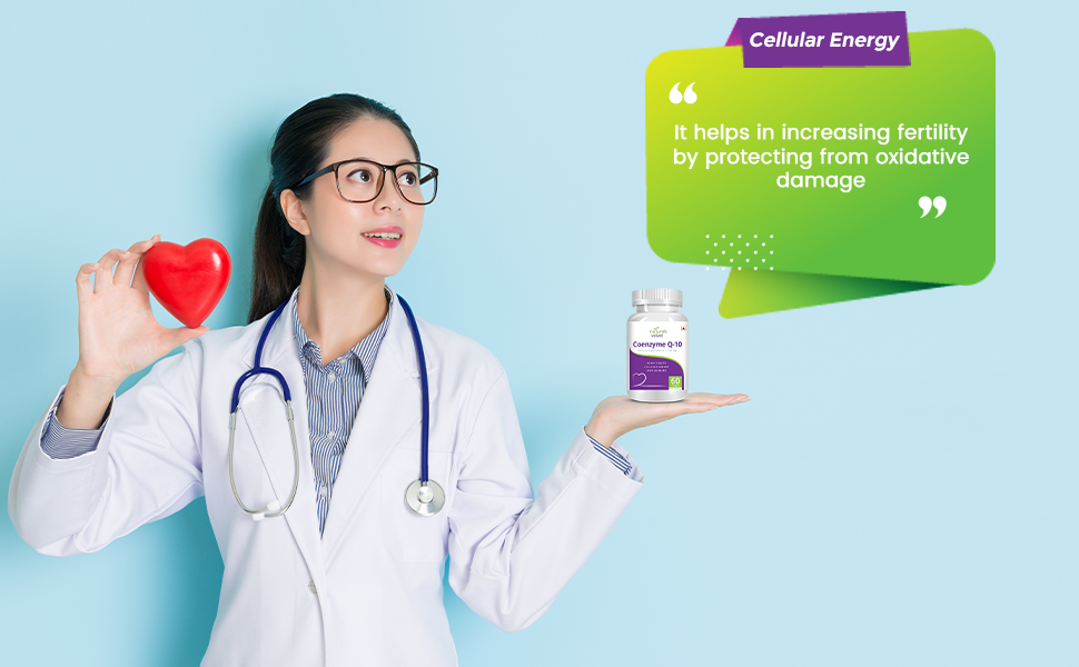 Natures Velvet Coenzyme Q-10 Rich in Antioxidant, Promotes Heart Health & Boosts Energy, 60 Softgels (Pack of 2)