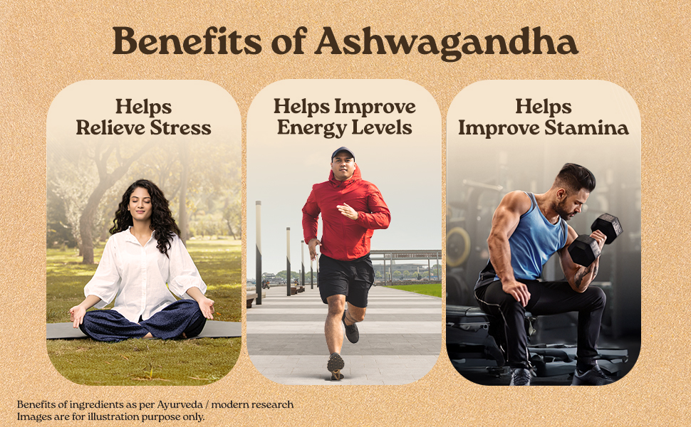 A TATA Product - Organic India Ashwagandha Capsules - 60 Veg Caps (Pack of 2), For Vitality & Relieves Stress, Naturally Boosts Energy & Stamina, Improves Immune System