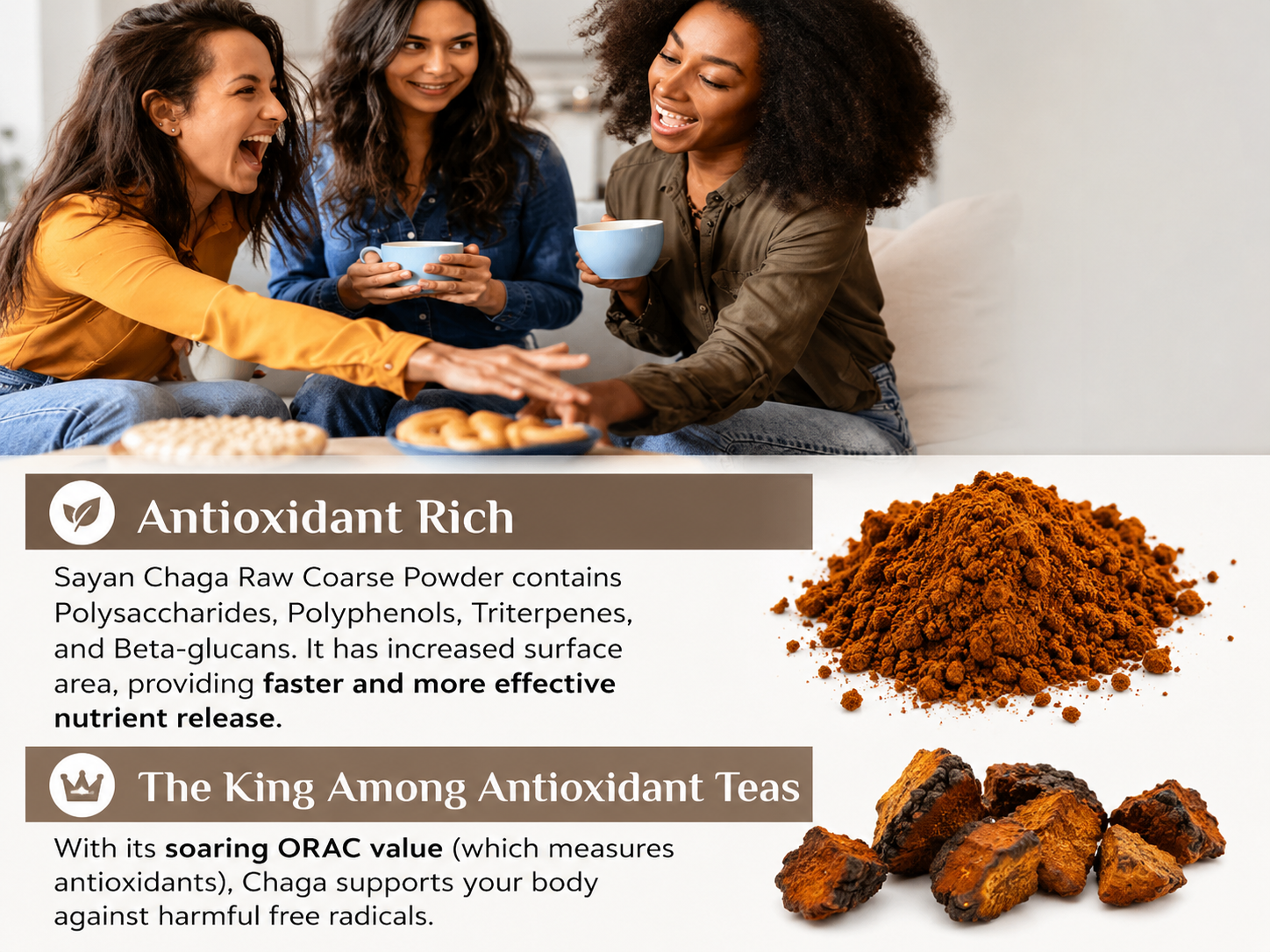 Sayan Coarse Chaga Powder 1 lb 454g Siberian Wild-Harvested Raw Tea Non-GMO