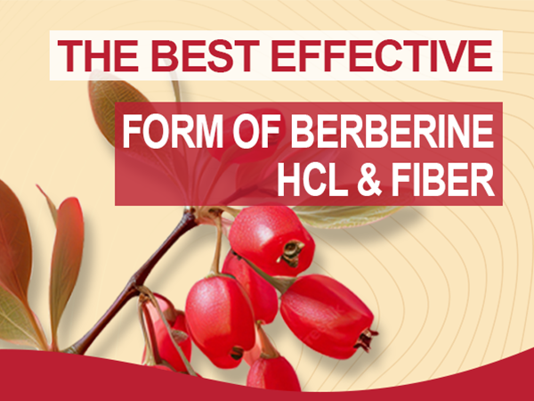 Sugar Free Berberine Gummies, Digestive Balance with 3G Fiber, Vegan, 60cts