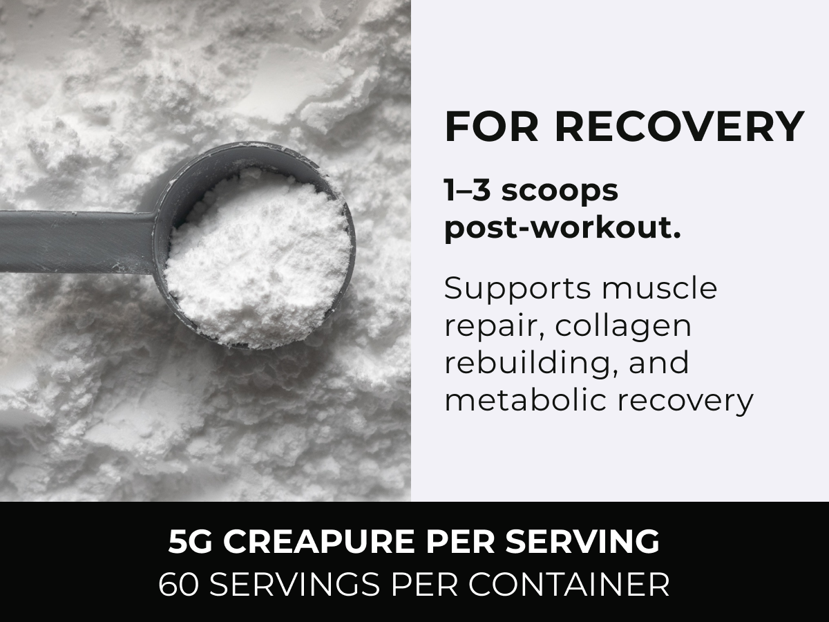 Creapure® Creatine Monohydrate Powder Unflavored 300g | Micronized Creatine Supplement for Men & Women, Supports Strength, Endurance & Muscle Performance | Centenarius Nutrition