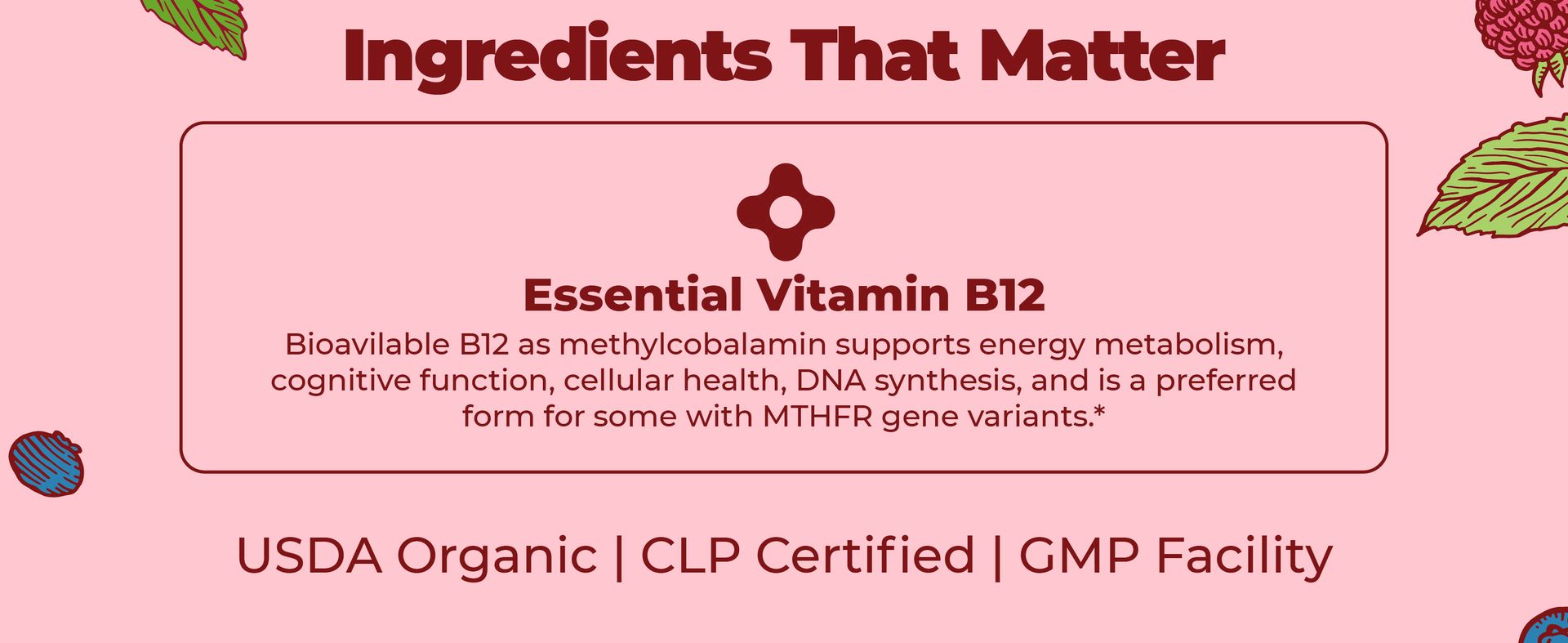 MARYRUTH'S Organic Methyl B12 Spray, 1,500 mcg B12 Per Serving, 1 Fl Oz