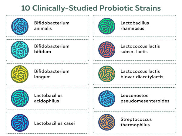 Flora Biome - Organic Live Culture Probiotic, Prebiotic, & Postbiotic