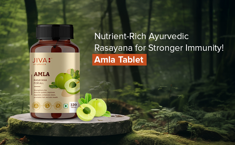 Jiva Amla Tablets 500mg 360 Tablet | 100% Pure Herbs Used, Rich In Vitamin C | Protects Against Free Radicals | Rich In Antioxidants | Improves Digestion | Enhances Vision -120 Tablet (Pack of 3)