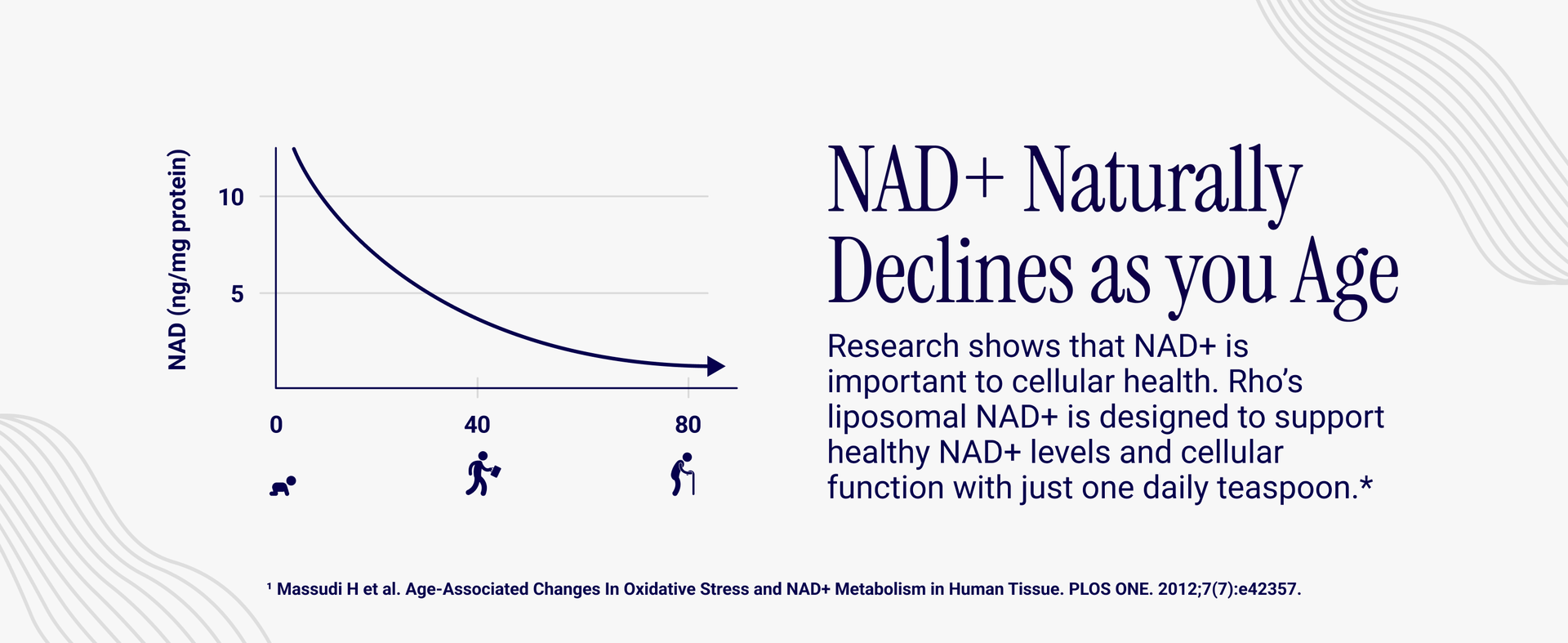 Rho Nutrition Liposomal NAD+ Liquid Supplement