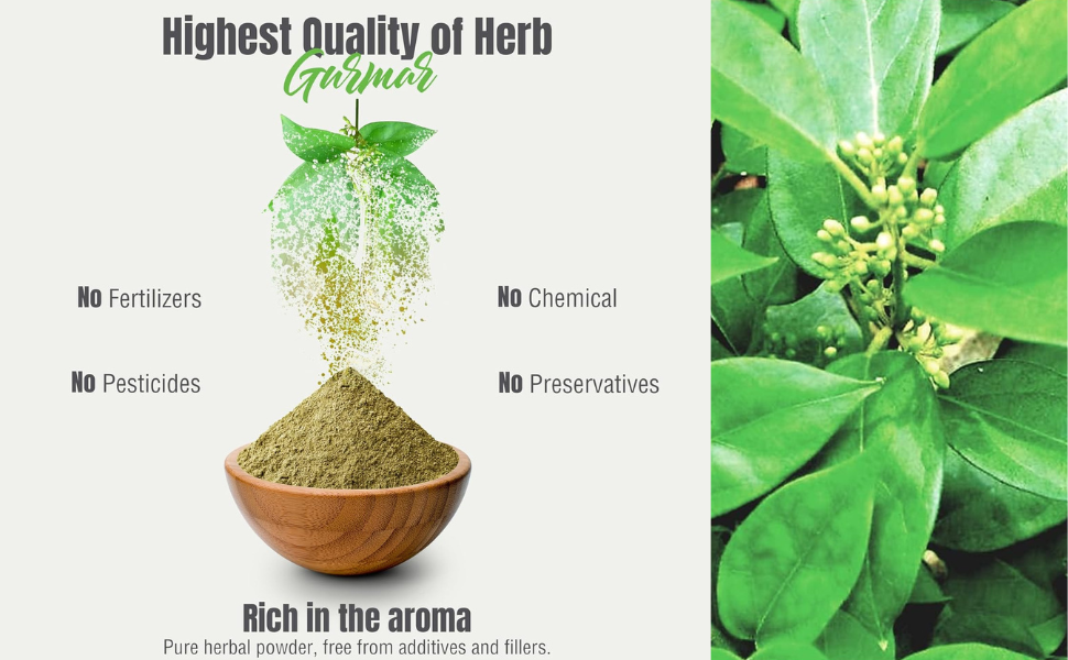 Herbal Hills Gurmar Powder, 1 kg, Pack of 1