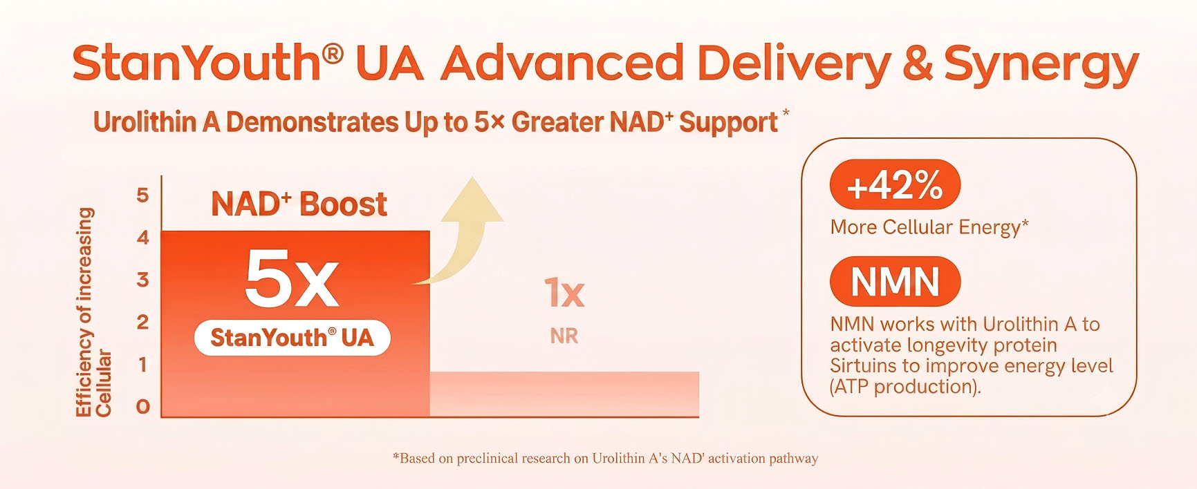 Gynable Urolithin A Supplement with NMN & PQQ, Cellular Energy