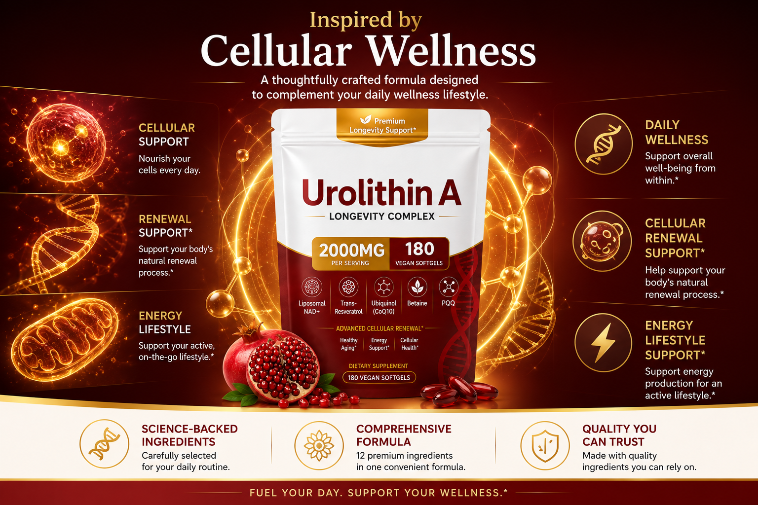 FINDING FERDINAND Urolithin A Supplement | 180 Count | 12-in-1 Formula with Liposomal NAD+, Trans-Resveratro - Supports Muscle Strength & Endurance, Promotes Cellular Health & Renewal