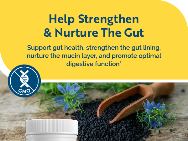 Researched Nutritionals RenewGut - GI Complex to Support Gut Lining, Healthy Histamine Levels & Digestive Health - Collagen Peptides, Zinc Carnosine, DGL & N Acetyl Glucosamine (120 Capsules)