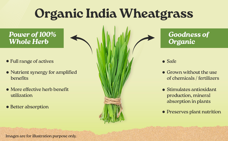 A TATA Product - Organic India Wheat Grass - 100g, Supports Immunity & Boosts Stamina, Rich in Natural Antioxidants, Vitamins & Minerals, For Detox, Overall Well-Being, GMP & NPOP Certified Organic