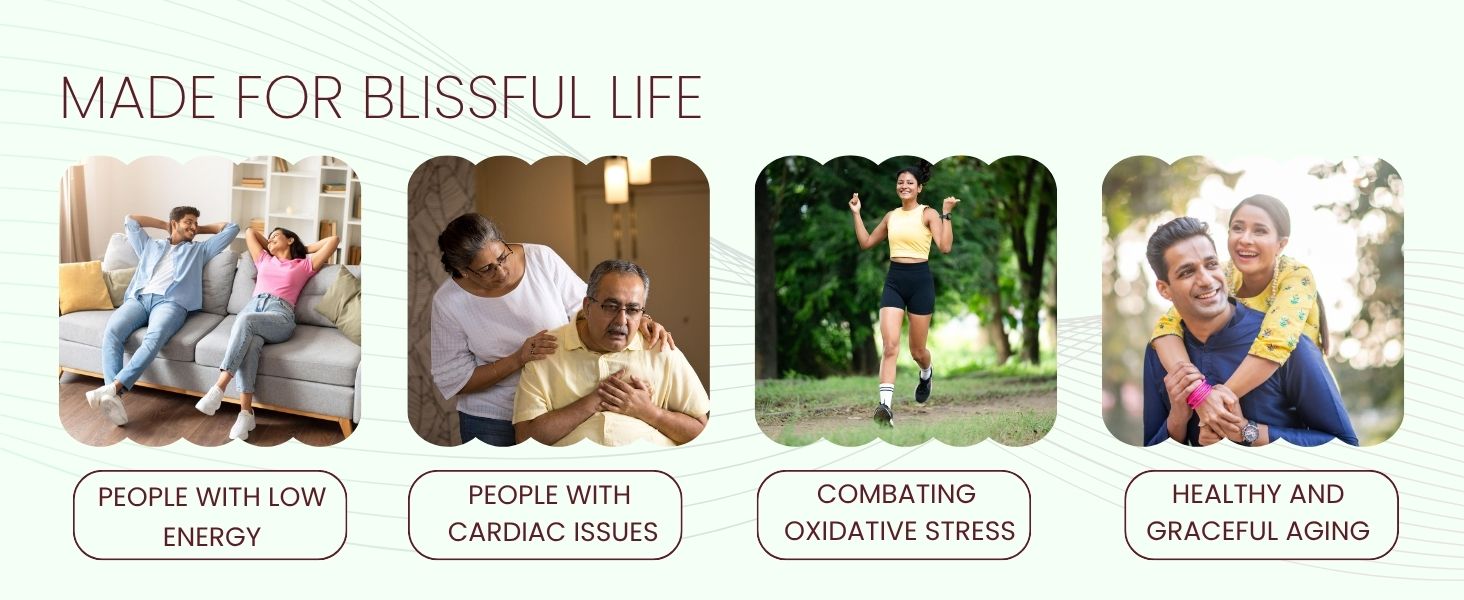 CoQ10 Supplement (Coenzyme Q10) Ubiquinol with Piperine | Antioxidants and Heart Health Supplements | CoQ10 300 mg 60 Capsules by VitaminHaat