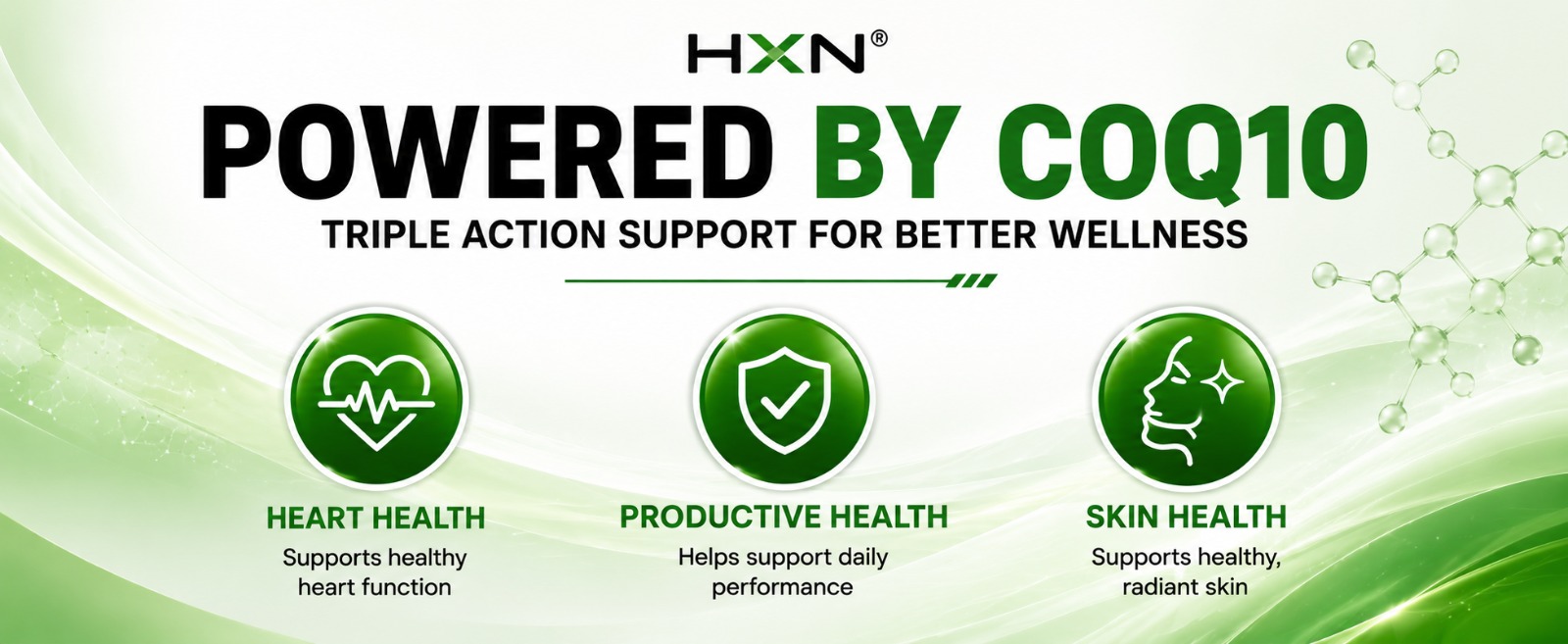 HXN CoQ10 Supplement 300mg, High Absorption Ubiquinol, 99.98% Pure, Heart Health and Cellular Energy Support Antioxidant Formula for Daily Wellness 60 Tablets