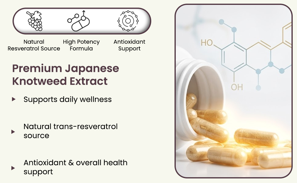 (LeeWell) Japanese Knotweed Root Extract 500mg | Trans Resveratrol (biologically active form) | Polygonum Cuspidatum, | cardioprotective, neuroprotective, Metabolic Health, inflammation, Cellular function - 60 Capsules