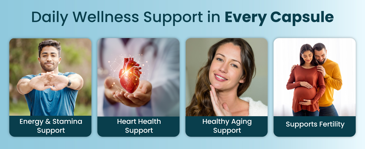 ZEROHARM Coenzyme Q10 | 250mg with Piperine & Grape Seed Extract | High Absorption CoQ10 Supplement | CoQ10 Ubiquinol Supports Heart, Vascular Health & Cellular Energy Production | 60 Veg Capsules