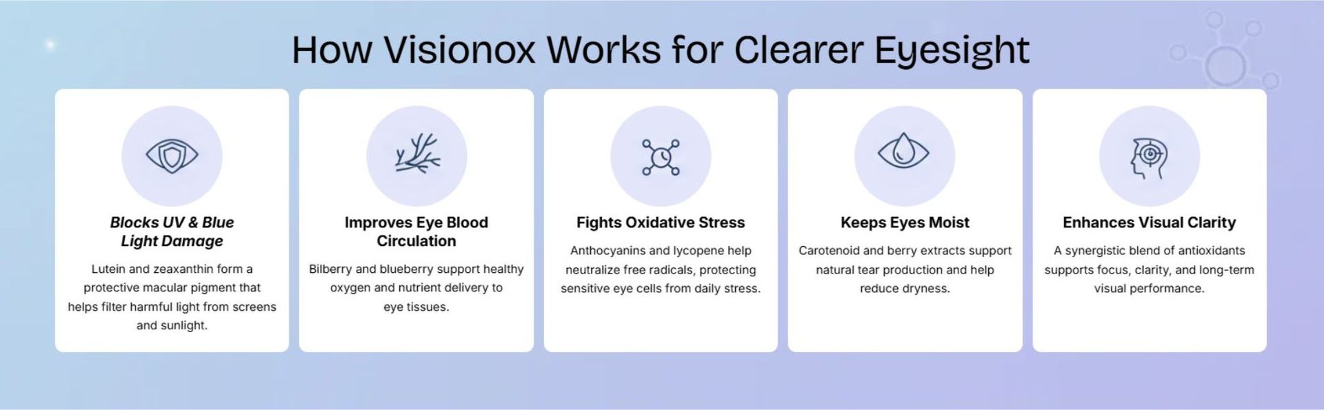 Visionox Eye Care Supplement, 30 Capsules