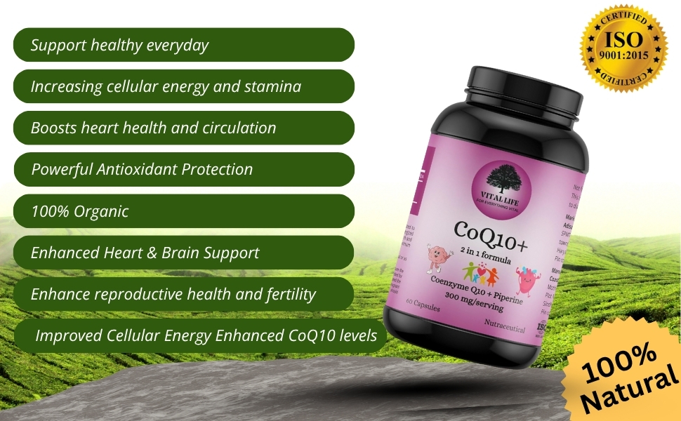 VITAL LIFE CoQ10 Supplement 300 mg with Piperine 10 mg, 60 Count