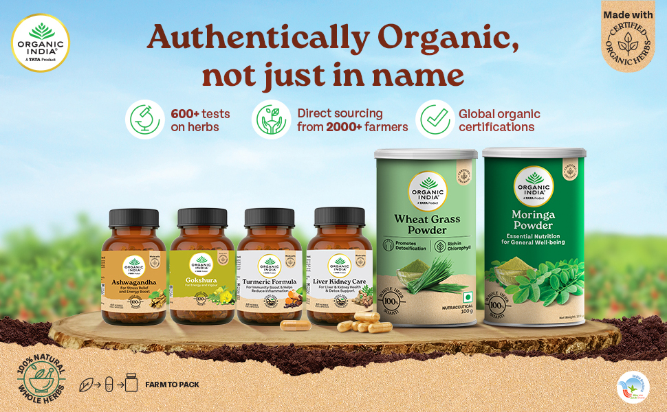 A TATA Product - Organic India Amalaki - 60 Veg Capsules, Natural Vitamin C & Antioxidants, Boosts Immune Response, Detoxify & Rejuvenate Digestive System, Reduce Acidity, GMP & NPOP Certified Organic