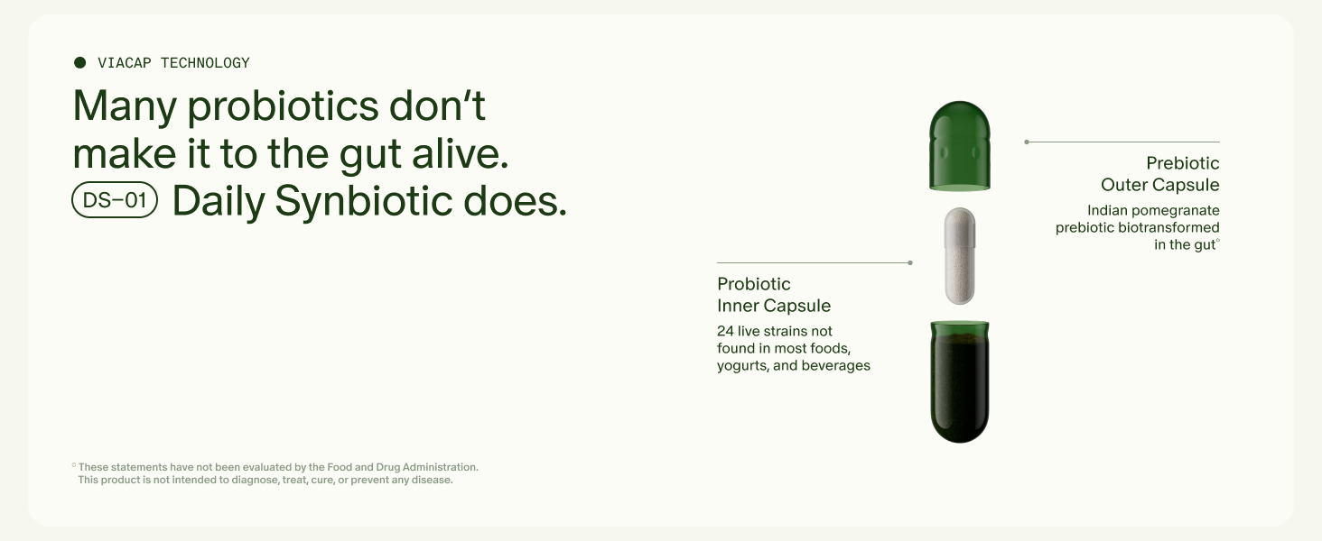 Seed DS-01 Daily Synbiotic - Adult Probiotic + Prebiotic - 30-Days with Jar