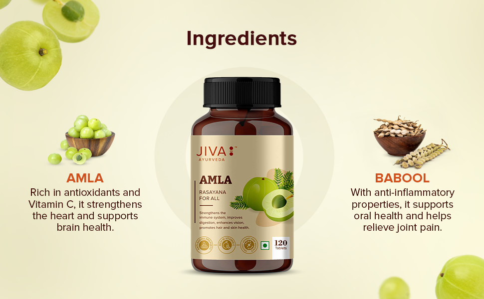 Jiva Amla Tablets 100% Pure Herbs Used, Rich In Vitamin C | Protects Against Free Radicals | Rich In Antioxidants - 120 Tablet (Pack of 1)