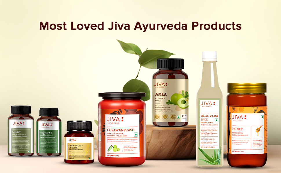Jiva Amla Tablets 100% Pure Herbs Used, Rich In Vitamin C | Protects Against Free Radicals | Rich In Antioxidants - 120 Tablet (Pack of 1)