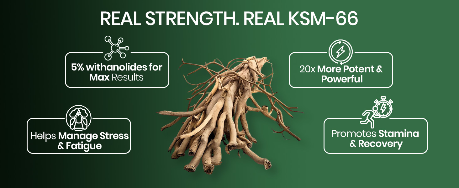 Vlado's Himalayan Organics Ashwagandha KSM66 700mg - 60 Capsules I KSM 66 Ashwagandha Capsules for Men & Women | Clinically Proven I 5% Withanolides for Max Results - 100% Pure Root Extract | Stress Relief, Energy & Recovery Support | World’s Strongest Ashwagandha