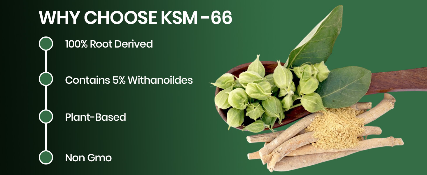 Vlado's Himalayan Organics Ashwagandha KSM66 700mg - 60 Capsules I KSM 66 Ashwagandha Capsules for Men & Women | Clinically Proven I 5% Withanolides for Max Results - 100% Pure Root Extract | Stress Relief, Energy & Recovery Support | World’s Strongest Ashwagandha