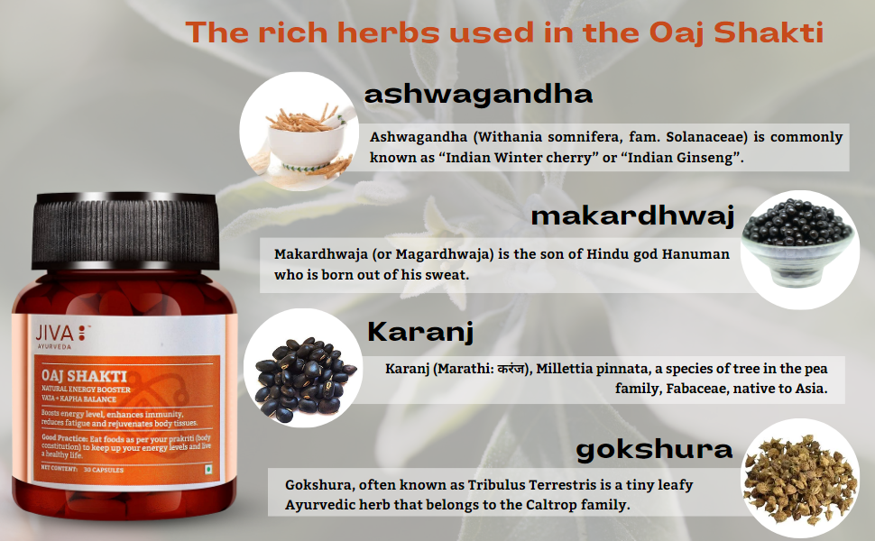 Jiva Oaj Shakti - 30 (Pack of 1) Capsules | Beneficial for physical and mental performance