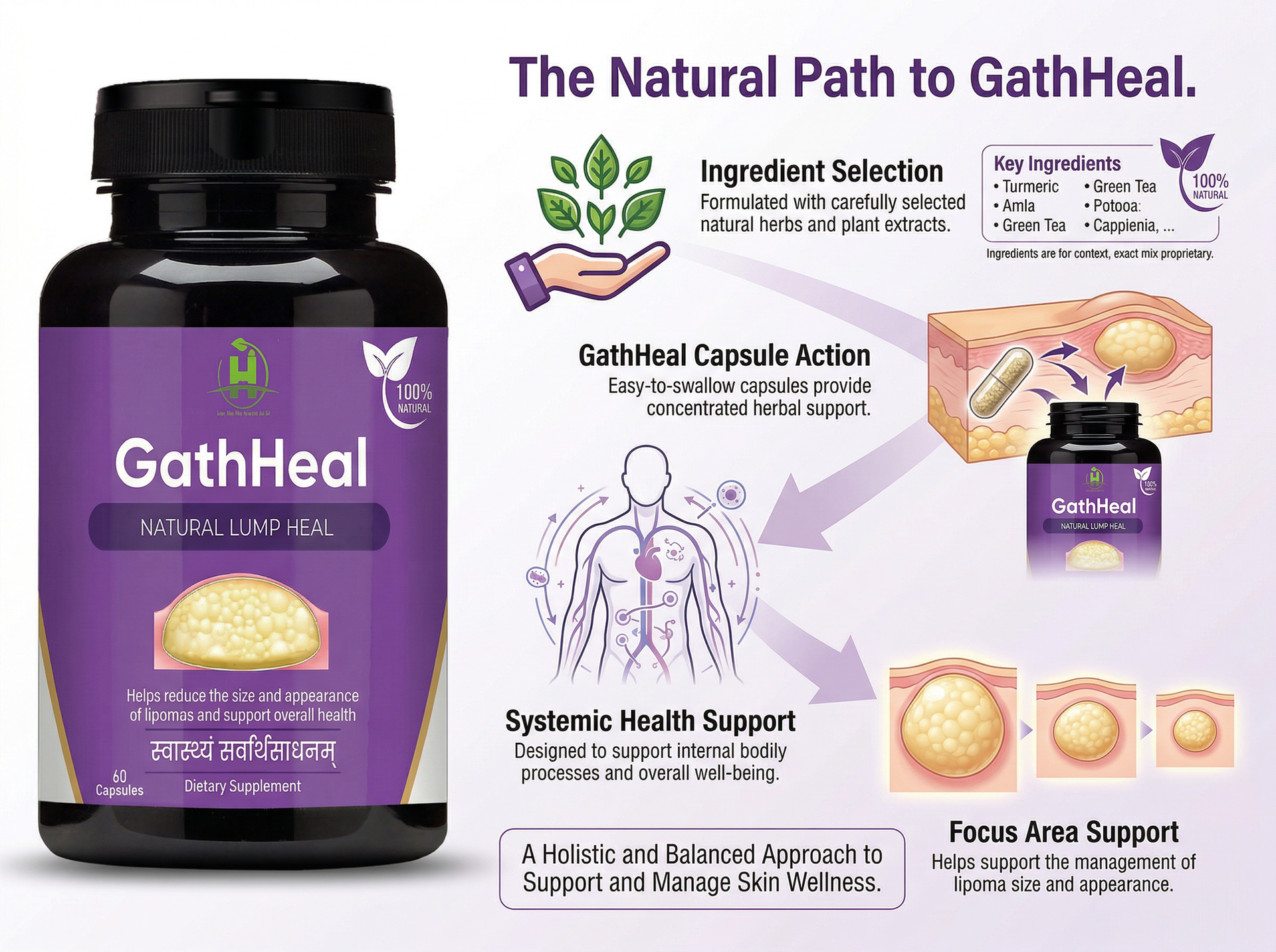 Healthy Nutrition GathHeal Herbal Supplement Capsules with Ashwagandha, Turmeric, White Willow & Bakuchi | Ayurvedic Botanical Wellness Support | Non-GMO Herbal Blend | 60 Capsules