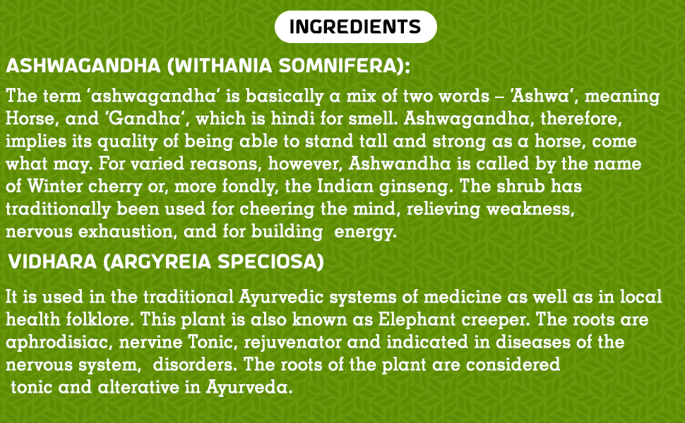 Baidyanath Asli Ayurved Ashwagandhadi Churna - 100 g (Pack of 2) I Enhances Stamina I Ashwagandha for Stress Relief