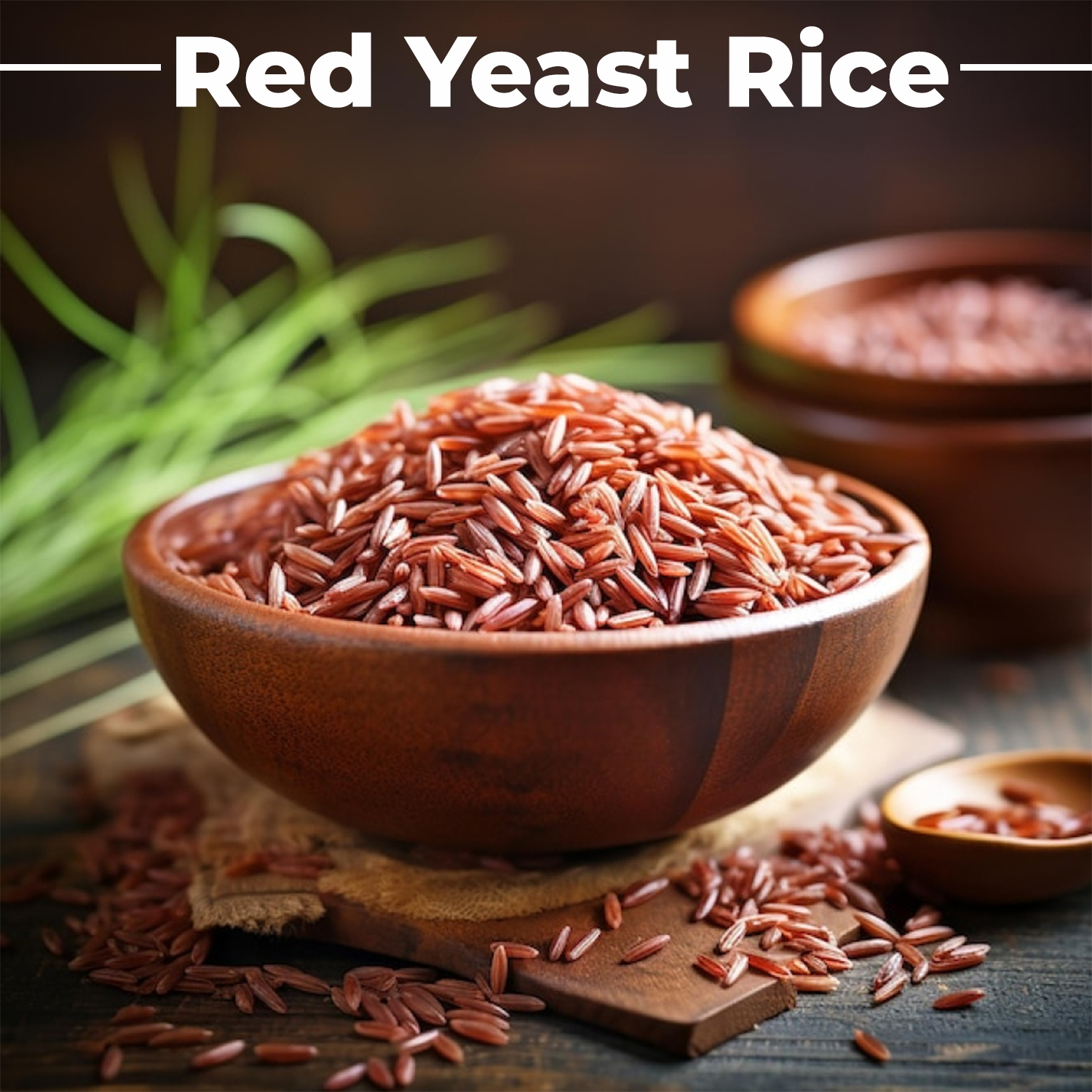 Humming Herbs Red Yeast Rice 500mg Capsules - Natural Cholesterol Support with CoQ10, Policosanol, Lycopene & Beta-Sitosterol - Promotes Heart Health & Blood Circulation - Vegan, Non-GMO