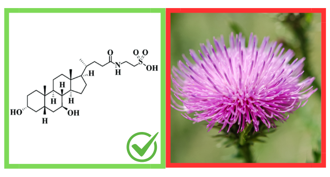 GREENDORSE TUDCA + NAC (N-Acetyl cysteine) supplement 99% purity| Liver, Kidney, Heart, all Organs Support| On/Post Steroid & Supplementation Cycle Support for Bodybuilders, Weightlifters & Athletes- 60 Capsules