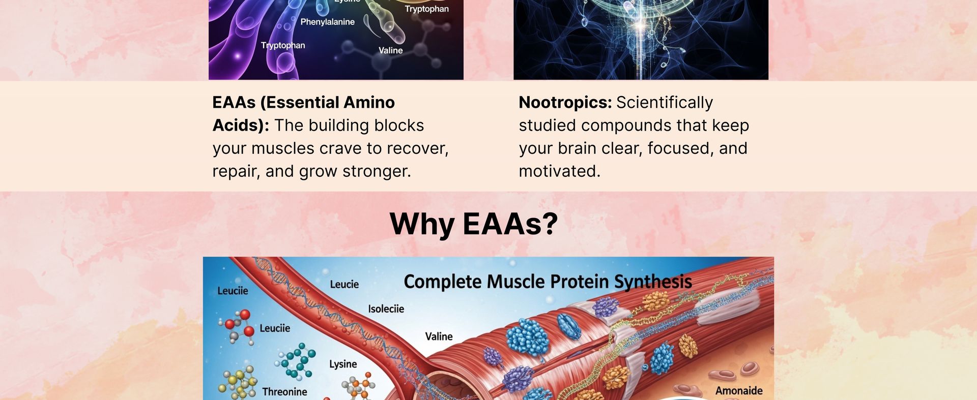 FORMULA EAA+NOOTROPICS 2:1:1 With | EAAs + BCAAs Powder | Muscle Recovery, Strength, Muscle Building, Endurance | 5G Essential Amino Acids + Electrolytes | 20 Servings (100gm, Orange)
