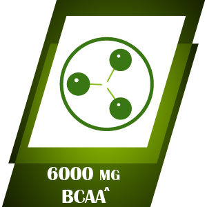 XLR8 BCAA++ Powder Supplement 2:1:1 with Vegan Instantised BCAA 5000mg,1500mg Glutamine, 500mg Arginine &180 Electrolytes (225 g (Pack of 1), Watermelon)