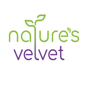 Nature's Velvet Plant Protein, Rich in BCAAs, 300gms -Pack of 1