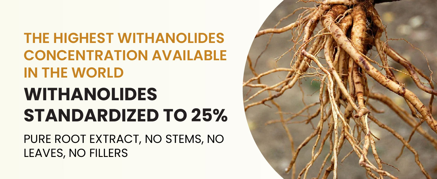 Vlado's Himalayan Organics Ashwagandha -25 % Withanolides with Maximum High Potency - 600MG - Highly Concentrated & Third-Party Lab Tested - Ayurvedic Supplement - Focus, Mood Support, Increase Energy, Strength - Enhanced Mood & Performance I 1st in India - 30 Capsules