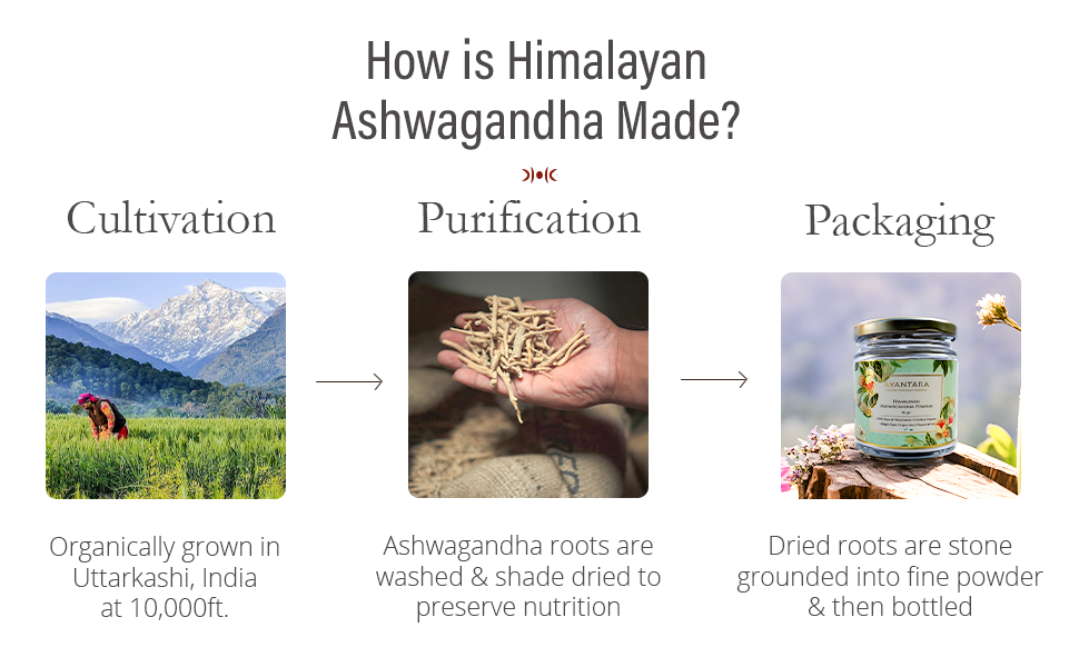 Himalayan Ashwagandha Powder - 220g | Organic for Stress, Immunity