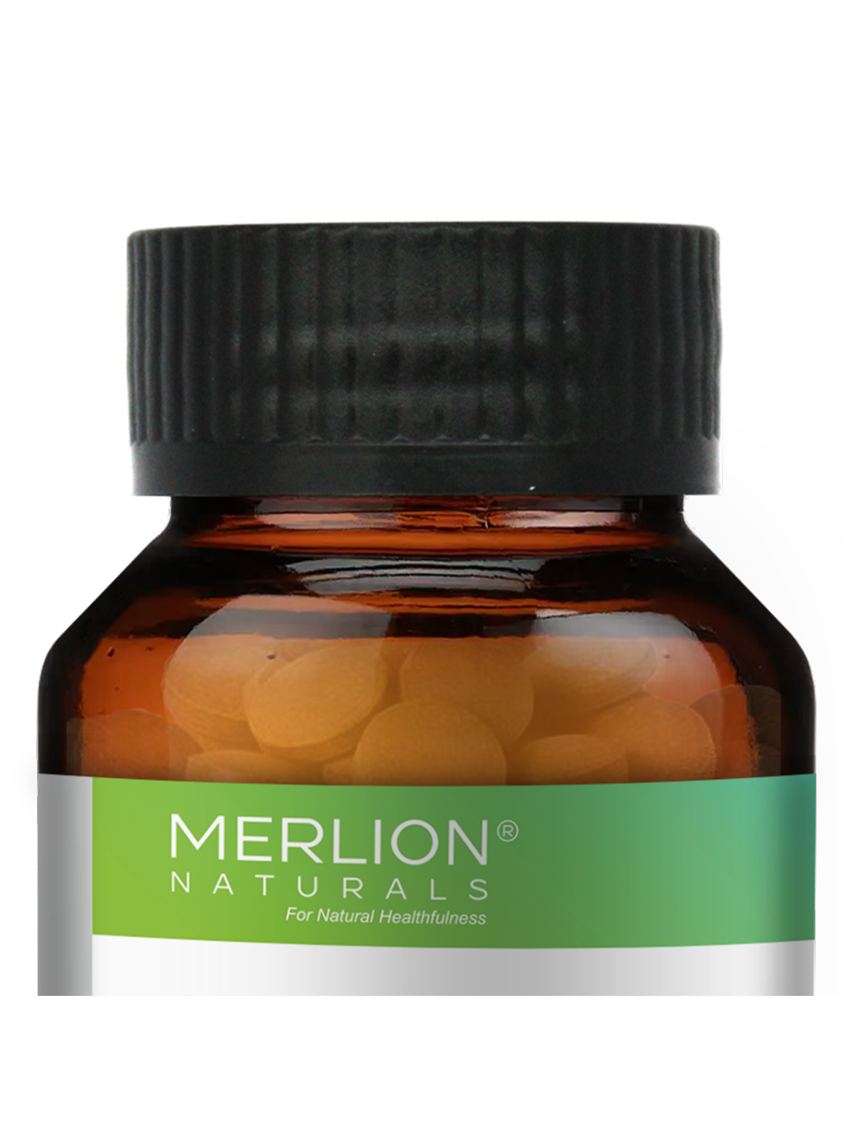 Merlion Naturals Bhumi Amla Tablets, Phyllanthus niruri, 500mg (120 Tablets)