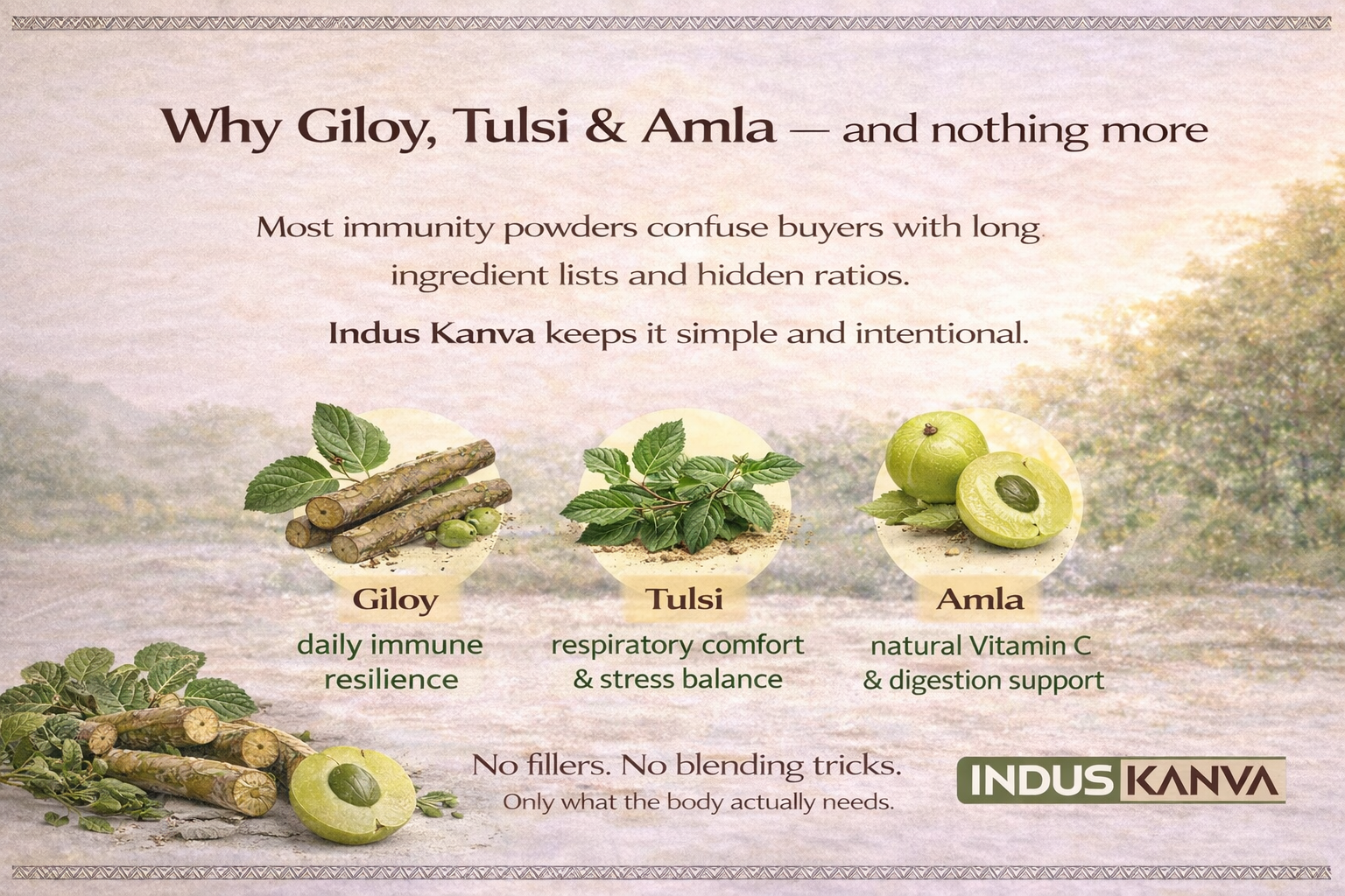 Giloy Tulsi Amla Powder 100g | Herbal Immunity Support Blend | Natural Daily Wellness Mix | Rich in Antioxidants | No Added Preservatives | Vegan | Lab Tested