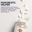 kal-pancreatin-350mg-digestive-enzymes-f-6.jpg