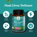 bundle-of-menopause-supplement-for-women-5.jpg