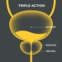 an-innovation-for-a-healthy-prostate-pow-6.jpg