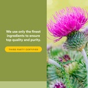 natural-factors-milk-thistle-extract-250-5.jpg