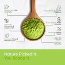 moringa-powder-organic-certified-moringa-3.jpg