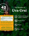 herb-pharm-uva-ursi-liquid-extracount-fo-2.jpg
