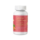 super-boswellia-serrata-with-g-fos-98-bo-2.jpg